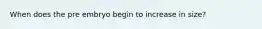 When does the pre embryo begin to increase in size?