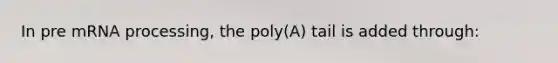 In pre mRNA processing, the poly(A) tail is added through: