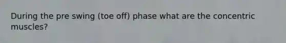 During the pre swing (toe off) phase what are the concentric muscles?