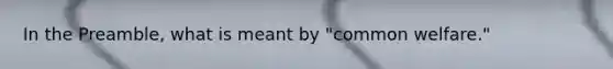 In the Preamble, what is meant by "common welfare."