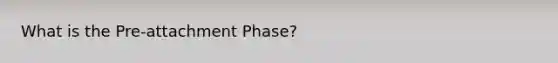 What is the Pre-attachment Phase?