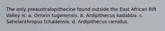 The only preaustralopithecine found outside the East African Rift Valley is: a. Orrorin tugenensis. b. Ardipithecus kadabba. c. Sahelanthropus tchadensis. d. Ardipithecus ramidus.