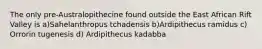 The only pre-Australopithecine found outside the East African Rift Valley is a)Sahelanthropus tchadensis b)Ardipithecus ramidus c) Orrorin tugenesis d) Ardipithecus kadabba