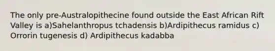 The only pre-Australopithecine found outside the East African Rift Valley is a)Sahelanthropus tchadensis b)Ardipithecus ramidus c) Orrorin tugenesis d) Ardipithecus kadabba