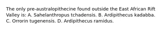 The only pre-australopithecine found outside the East African Rift Valley is: A. Sahelanthropus tchadensis. B. Ardipithecus kadabba. C. Orrorin tugenensis. D. Ardipithecus ramidus.