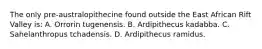 The only pre-australopithecine found outside the East African Rift Valley is: A. Orrorin tugenensis. B. Ardipithecus kadabba. C. Sahelanthropus tchadensis. D. Ardipithecus ramidus.