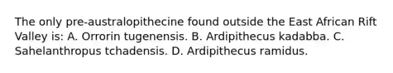 The only pre-australopithecine found outside the East African Rift Valley is: A. Orrorin tugenensis. B. Ardipithecus kadabba. C. Sahelanthropus tchadensis. D. Ardipithecus ramidus.