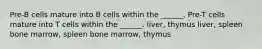 Pre-B cells mature into B cells within the ______. Pre-T cells mature into T cells within the ______. liver, thymus liver, spleen bone marrow, spleen bone marrow, thymus