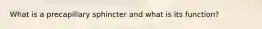 What is a precapillary sphincter and what is its function?