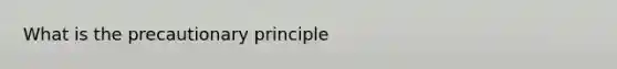 What is the precautionary principle