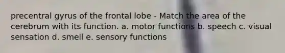 precentral gyrus of the frontal lobe - Match the area of the cerebrum with its function. a. motor functions b. speech c. visual sensation d. smell e. sensory functions