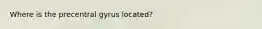Where is the precentral gyrus located?