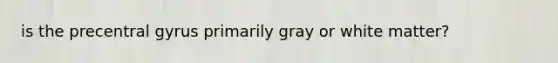 is the precentral gyrus primarily gray or white matter?