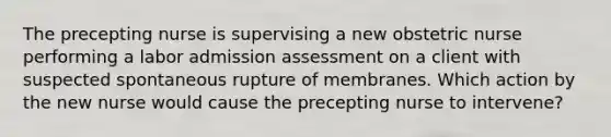 The precepting nurse is supervising a new obstetric nurse performing a labor admission assessment on a client with suspected spontaneous rupture of membranes. Which action by the new nurse would cause the precepting nurse to intervene?