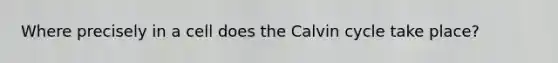 Where precisely in a cell does the Calvin cycle take place?