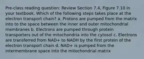 Pre-class reading question: Review Section 7.4, Figure 7.10 in your textbook. Which of the following steps takes place at <a href='https://www.questionai.com/knowledge/k57oGBr0HP-the-electron-transport-chain' class='anchor-knowledge'>the electron transport chain</a>? a. Protons are pumped from the matrix into to the space between the inner and outer mitochondrial membranes b. Electrons are pumped through protein transporters out of the mitochondria into the cytosol c. Electrons are transferred from NAD+ to NADH by the first protein of the electron transport chain d. NAD+ is pumped from the intermembrane space into the mitochondrial matrix