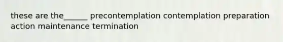 these are the______ precontemplation contemplation preparation action maintenance termination