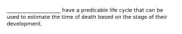 _____________________ have a predicable life cycle that can be used to estimate the time of death based on the stage of their development.