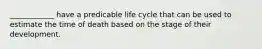 ____________ have a predicable life cycle that can be used to estimate the time of death based on the stage of their development.