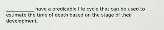 ____________ have a predicable life cycle that can be used to estimate the time of death based on the stage of their development.