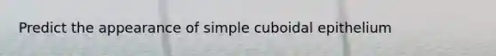 Predict the appearance of simple cuboidal epithelium