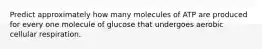 Predict approximately how many molecules of ATP are produced for every one molecule of glucose that undergoes aerobic cellular respiration.