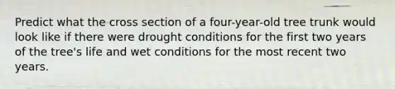 Predict what the cross section of a four-year-old tree trunk would look like if there were drought conditions for the first two years of the tree's life and wet conditions for the most recent two years.