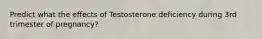 Predict what the effects of Testosterone deficiency during 3rd trimester of pregnancy?