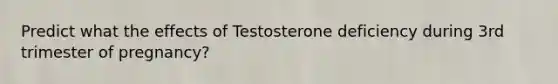 Predict what the effects of Testosterone deficiency during 3rd trimester of pregnancy?