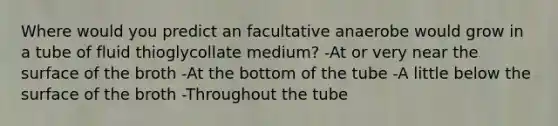 Where would you predict an facultative anaerobe would grow in a tube of fluid thioglycollate medium? -At or very near the surface of the broth -At the bottom of the tube -A little below the surface of the broth -Throughout the tube