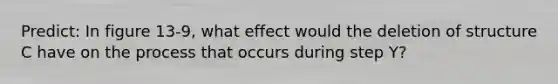 Predict: In figure 13-9, what effect would the deletion of structure C have on the process that occurs during step Y?