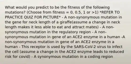 What would you predict to be the fitness of the following mutations? (Choose from fitness = 0, 0.5, 1 or >1) *REFER TO PRACTICE QUIZ FOR PICTURE* - A non-synonymous mutation in the gene for neck length of a giraffe(assume a change in neck length makes it less able to eat and attract mates) - A non-synonymous mutation in the regulatory region - A non-synonymous mutation in gene of an ACE2 enzyme in a human -A non-synonymous mutation in gene of an ACE2 enzyme in a human - This receptor is used by the SARS-CoV-2 virus to infect the cell (assume a change in the ACE2 enzyme leads to reduced risk for covid) - A synonymous mutation in a coding region