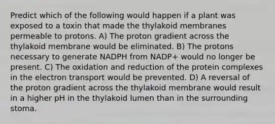 Predict which of the following would happen if a plant was exposed to a toxin that made the thylakoid membranes permeable to protons. A) The proton gradient across the thylakoid membrane would be eliminated. B) The protons necessary to generate NADPH from NADP+ would no longer be present. C) The oxidation and reduction of the protein complexes in the electron transport would be prevented. D) A reversal of the proton gradient across the thylakoid membrane would result in a higher pH in the thylakoid lumen than in the surrounding stoma.