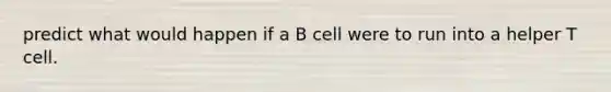 predict what would happen if a B cell were to run into a helper T cell.