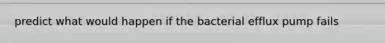 predict what would happen if the bacterial efflux pump fails