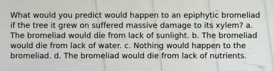 What would you predict would happen to an epiphytic bromeliad if the tree it grew on suffered massive damage to its xylem? a. The bromeliad would die from lack of sunlight. b. The bromeliad would die from lack of water. c. Nothing would happen to the bromeliad. d. The bromeliad would die from lack of nutrients.