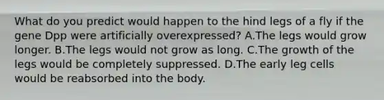 What do you predict would happen to the hind legs of a fly if the gene Dpp were artificially overexpressed? A.The legs would grow longer. B.The legs would not grow as long. C.The growth of the legs would be completely suppressed. D.The early leg cells would be reabsorbed into the body.