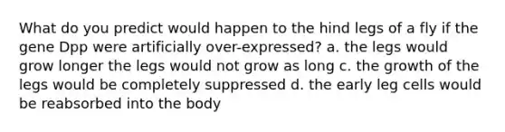 What do you predict would happen to the hind legs of a fly if the gene Dpp were artificially over-expressed? a. the legs would grow longer the legs would not grow as long c. the growth of the legs would be completely suppressed d. the early leg cells would be reabsorbed into the body