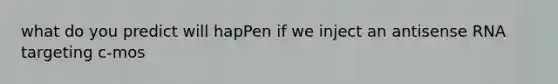 what do you predict will hapPen if we inject an antisense RNA targeting c-mos