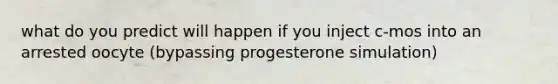 what do you predict will happen if you inject c-mos into an arrested oocyte (bypassing progesterone simulation)