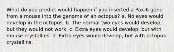 What do you predict would happen if you inserted a Pax-6 gene from a mouse into the genome of an octopus? a. No eyes would develop in the octopus. b. The normal two eyes would develop, but they would not work. c. Extra eyes would develop, but with mouse crystallins. d. Extra eyes would develop, but with octopus crystallins.