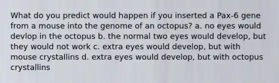 What do you predict would happen if you inserted a Pax-6 gene from a mouse into the genome of an octopus? a. no eyes would devlop in the octopus b. the normal two eyes would develop, but they would not work c. extra eyes would develop, but with mouse crystallins d. extra eyes would develop, but with octopus crystallins