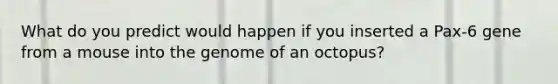 What do you predict would happen if you inserted a Pax-6 gene from a mouse into the genome of an octopus?