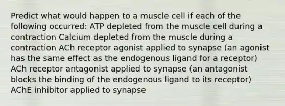 Predict what would happen to a muscle cell if each of the following occurred: ATP depleted from the muscle cell during a contraction Calcium depleted from the muscle during a contraction ACh receptor agonist applied to synapse (an agonist has the same effect as the endogenous ligand for a receptor) ACh receptor antagonist applied to synapse (an antagonist blocks the binding of the endogenous ligand to its receptor) AChE inhibitor applied to synapse