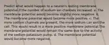 Predict what would happen to a neuron's resting membrane potential if the number of sodium ion channels increased. a. The membrane potential would become slightly more negative. b. The membrane potential would become more positive. c. The more sodium channels are present, the more sodium can exit the cell. This would result in a more positive membrane potential.The membrane potential would remain the same due to the activity of the sodium-potassium pump. d. The membrane potential would become more negative.