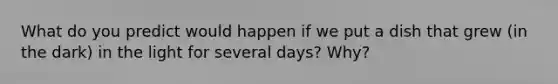 What do you predict would happen if we put a dish that grew (in the dark) in the light for several days? Why?