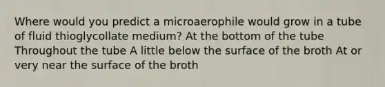 Where would you predict a microaerophile would grow in a tube of fluid thioglycollate medium? At the bottom of the tube Throughout the tube A little below the surface of the broth At or very near the surface of the broth