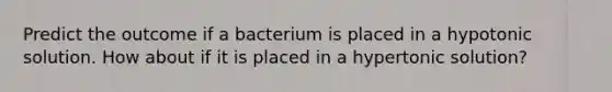 Predict the outcome if a bacterium is placed in a hypotonic solution. How about if it is placed in a hypertonic solution?