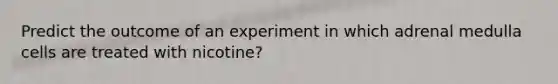 Predict the outcome of an experiment in which adrenal medulla cells are treated with nicotine?