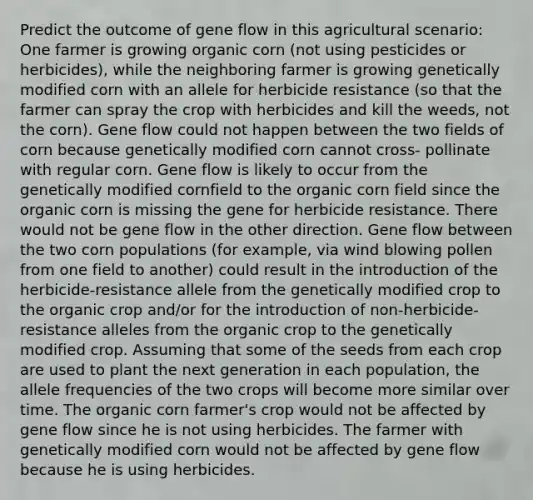 Predict the outcome of gene flow in this agricultural scenario: One farmer is growing organic corn (not using pesticides or herbicides), while the neighboring farmer is growing genetically modified corn with an allele for herbicide resistance (so that the farmer can spray the crop with herbicides and kill the weeds, not the corn). Gene flow could not happen between the two fields of corn because genetically modified corn cannot cross- pollinate with regular corn. Gene flow is likely to occur from the genetically modified cornfield to the organic corn field since the organic corn is missing the gene for herbicide resistance. There would not be gene flow in the other direction. Gene flow between the two corn populations (for example, via wind blowing pollen from one field to another) could result in the introduction of the herbicide-resistance allele from the genetically modified crop to the organic crop and/or for the introduction of non-herbicide-resistance alleles from the organic crop to the genetically modified crop. Assuming that some of the seeds from each crop are used to plant the next generation in each population, the allele frequencies of the two crops will become more similar over time. The organic corn farmer's crop would not be affected by gene flow since he is not using herbicides. The farmer with genetically modified corn would not be affected by gene flow because he is using herbicides.